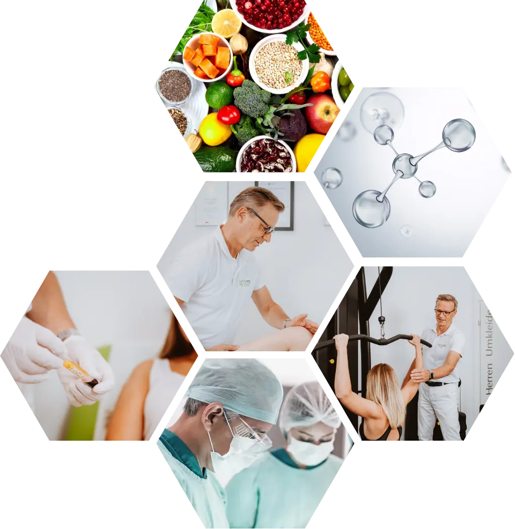 ArthroConcept Therapie-Bausteine